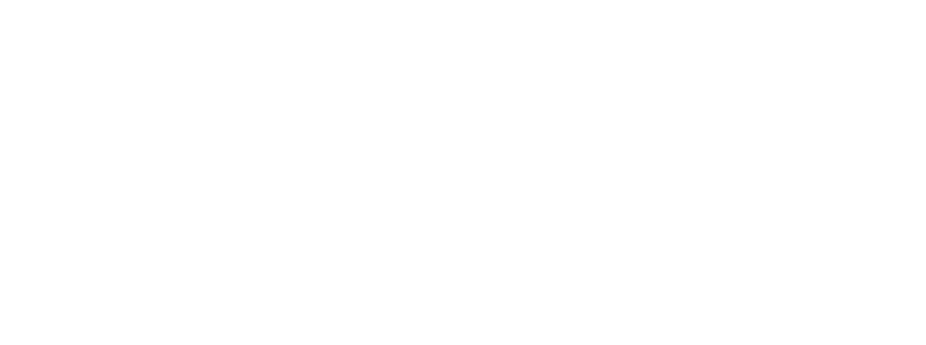 Diavision logo white
